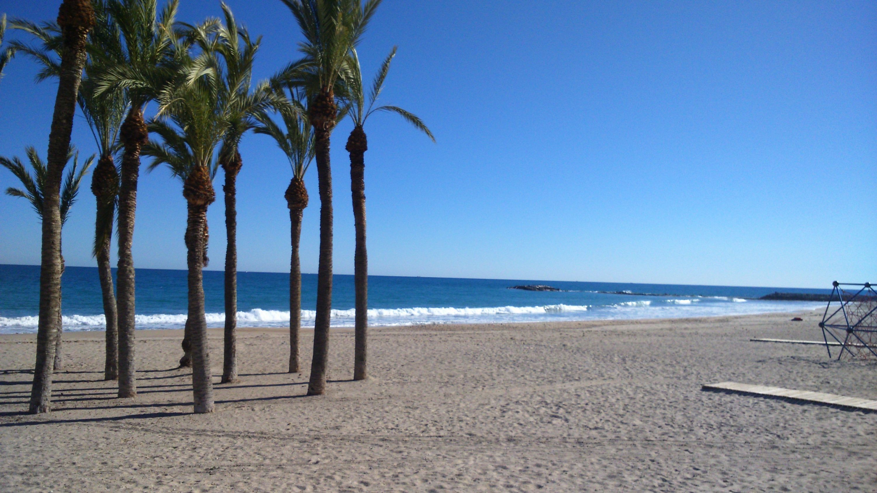 Apartment | 1 Schlafzimmer