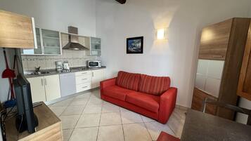 Apartament | 1 dormitori