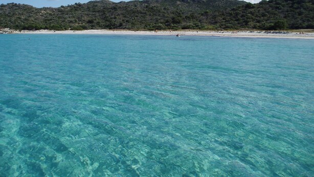 A beach with clear turquoise water, a sandy shore, and a forested hill in the background. - Villa d Exception vue mer Panoramique Piscine (Saint-Florent)