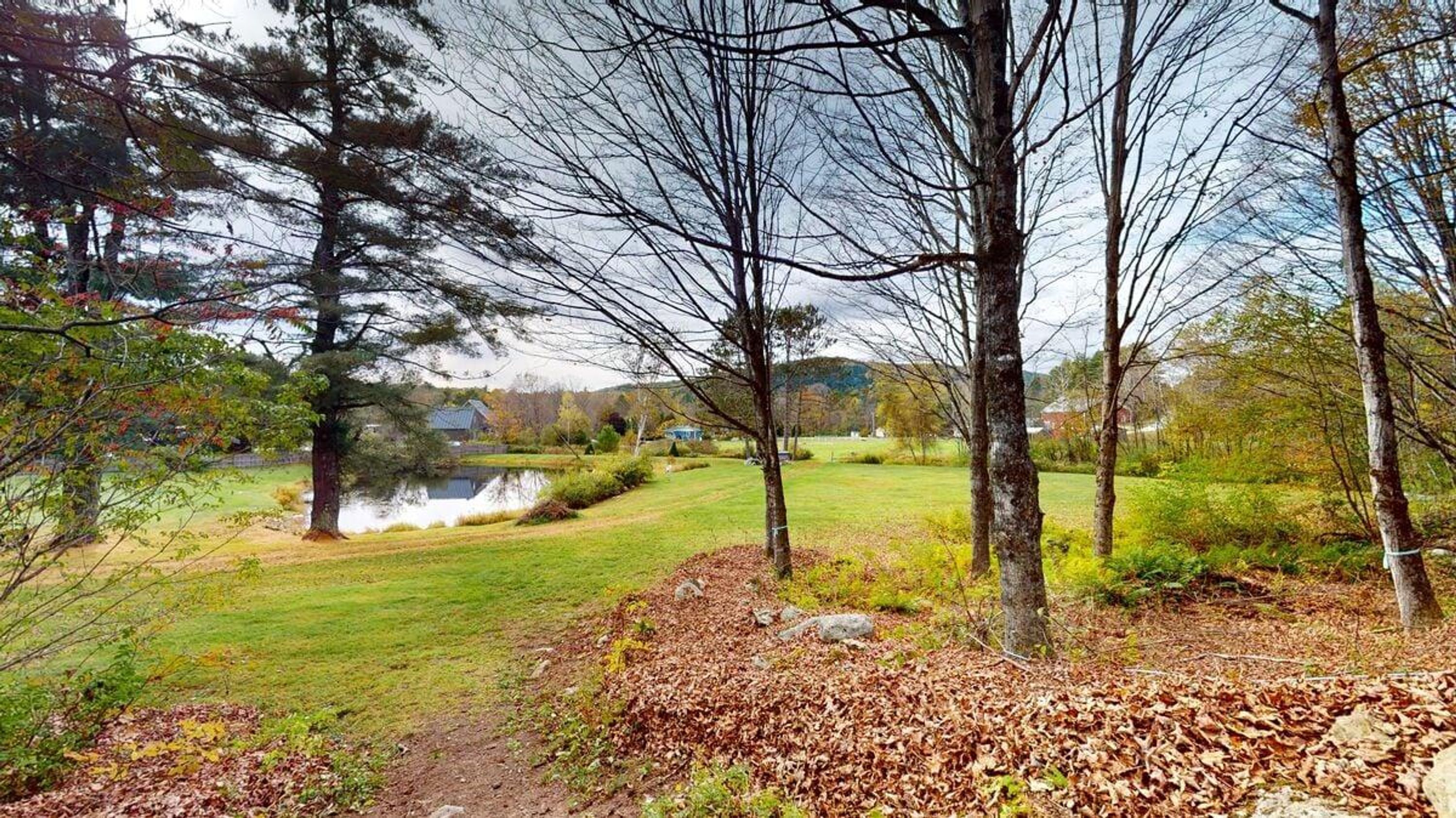 A natural landscape with a pond, trees, and a grassy area.