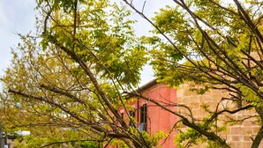 Un cortile con pavimentazione in pietra, un edificio rosso e vegetazione verde.