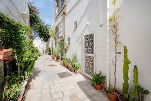 Un estrecho callejón con plantas en macetas y un edificio blanco con detalles de metal decorativo.