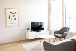 Smart TV, fireplace, books