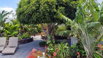 2 habitaciones