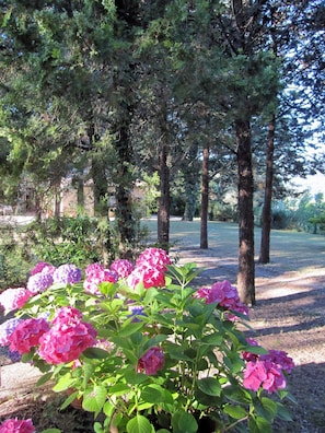 Villa | 5 camere