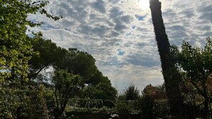 A garden with a variety of trees and plants, a stone pathway, and a spherical light post. - Rebecca s Sanremo Collection I (Sanremo)