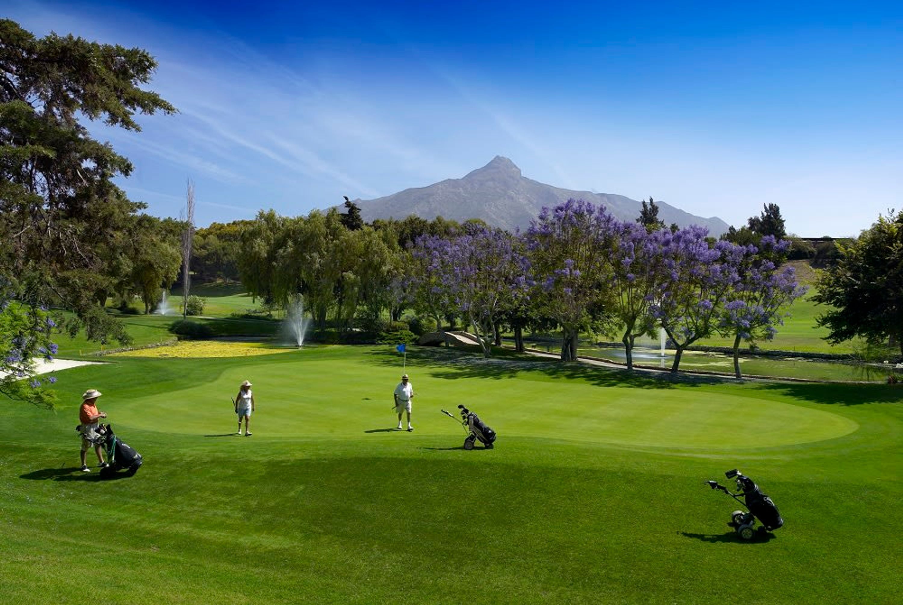 Căn hộ | 1 phòng ngủ 