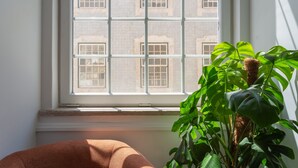 Una habitación con un ventanal grande, una planta en maceta y una silla marrón.