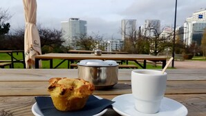 En picknickuppställning med en muffin och en kopp på ett träbord, med en stadsbild i bakgrunden.