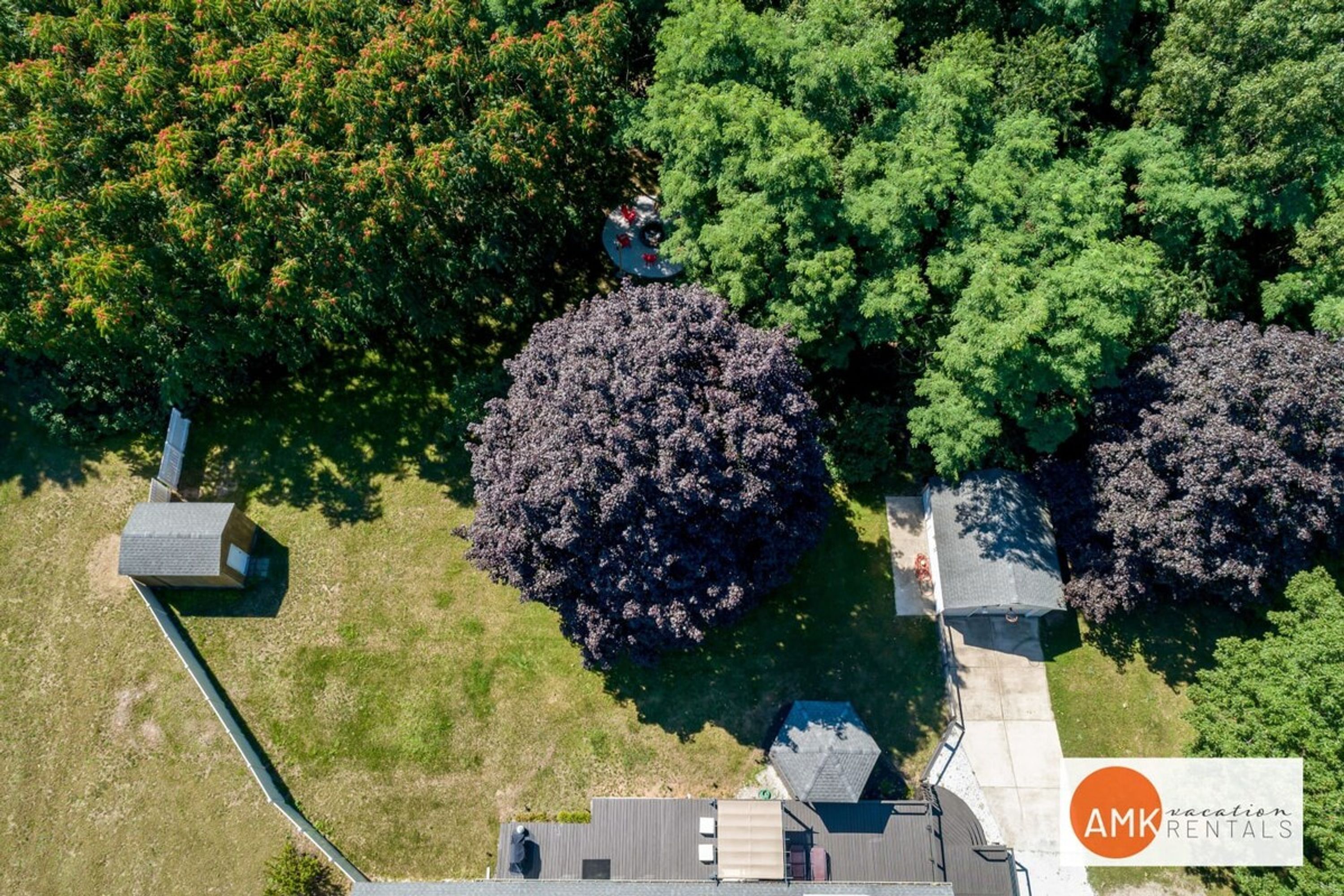 Luchtbeeld van een perceel met een grote boom in het midden, een klein gebouw en een pad.