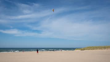 A beach with a clear sky, a kite flying, and a logo for AMK Rentals.