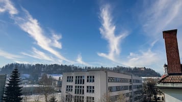 Apartment | 2 bedrooms, Internet