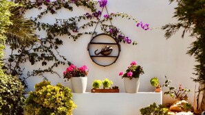 Un sendero que lleva a una pared blanca con un estante metálico decorativo y plantas en macetas.