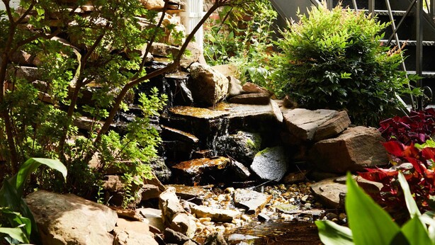 Ein Garten mit einem kleinen Wasserfall, Steinen und verschiedenen Pflanzen.