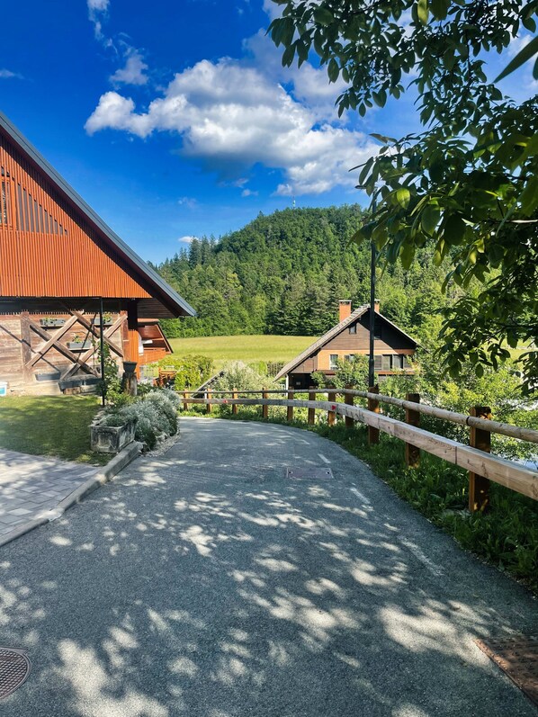 公寓 | 1 多间卧室、高速上网