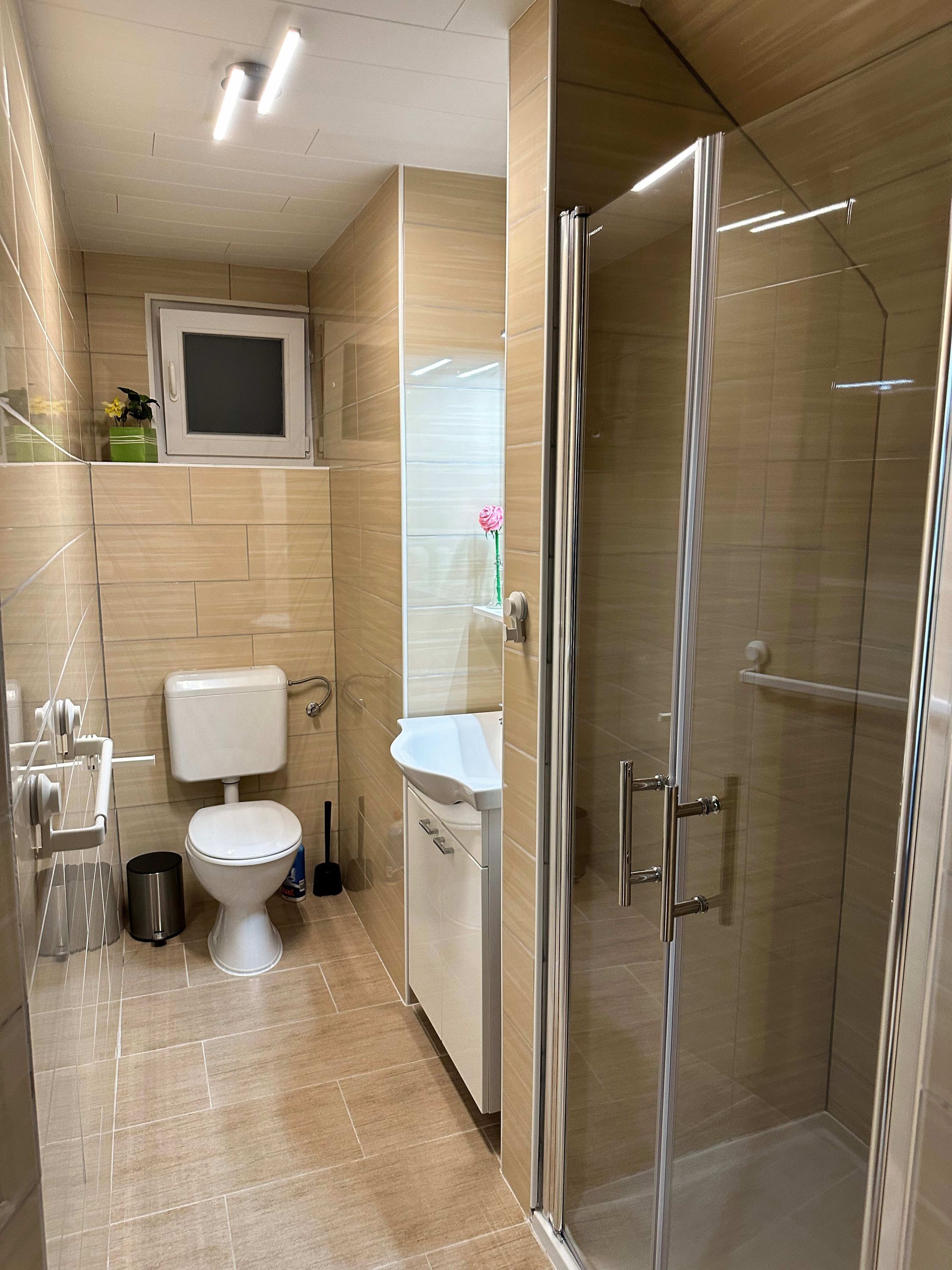A modern bathroom with a toilet, sink, and glass-enclosed shower.