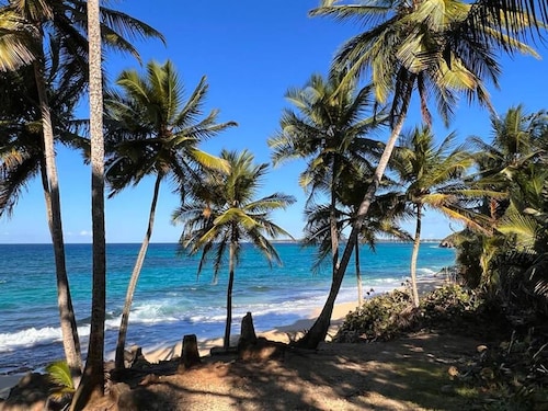Daria Beachfront Community Steps 2 Pool- Generator