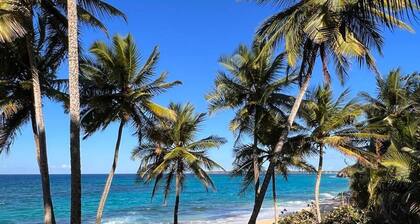 Daria Beachfront Community Steps 2 Pool- Generator