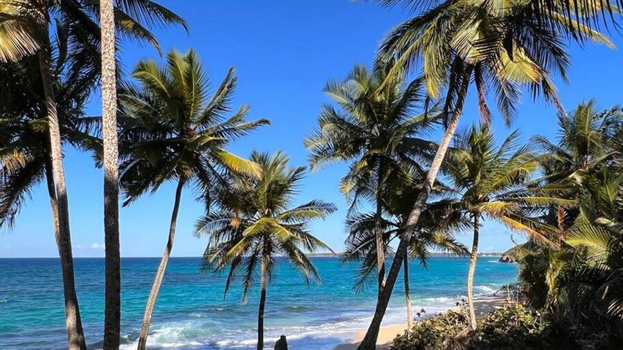 Daria Beachfront Community Steps 2 Pool- Generator