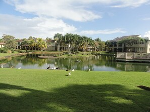 Villa | 3 bedrooms - Family Villa Oleana Waterviews Oceanfront With Water and Generator (Vega Alta)