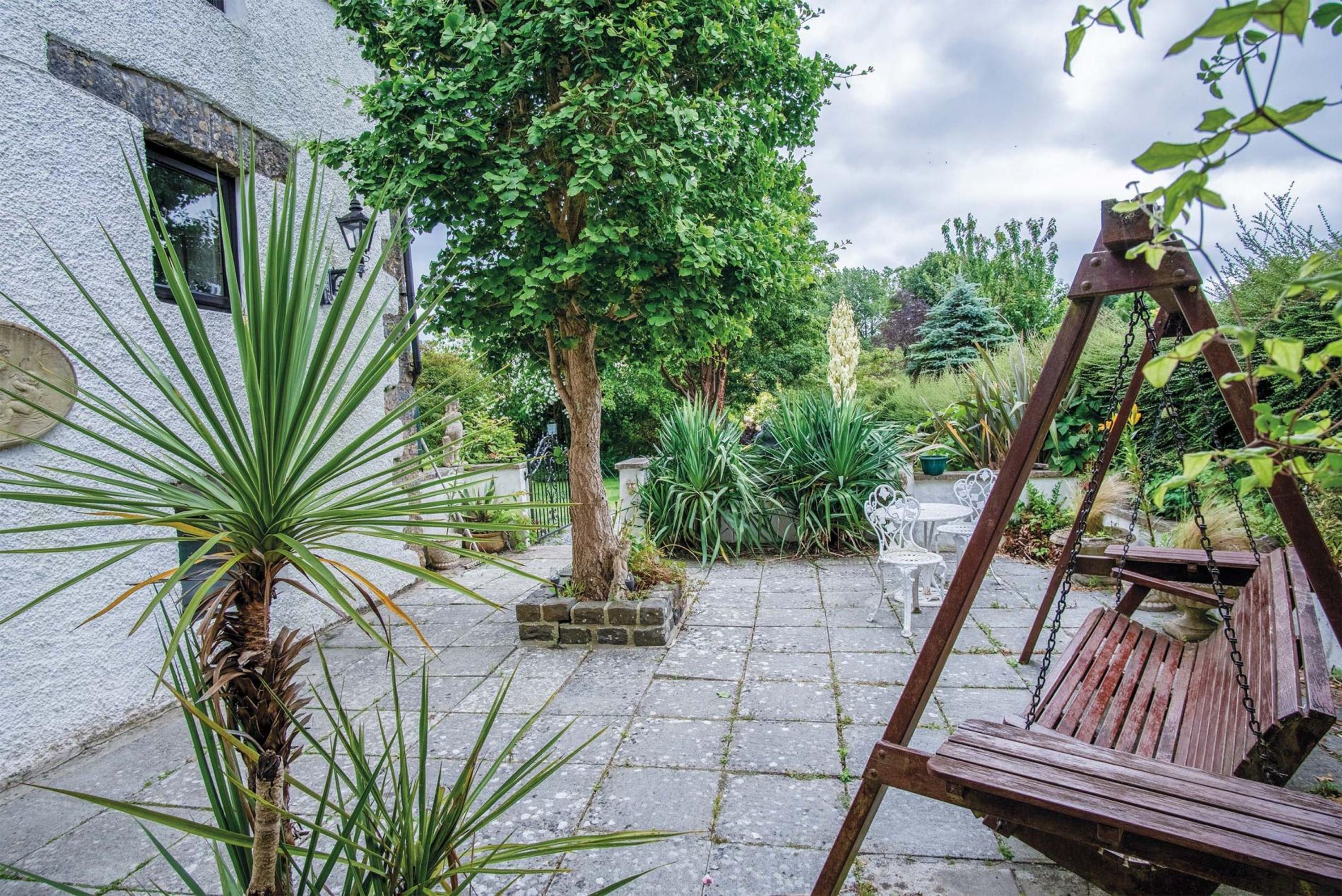 Appartement | 1 chambre, Internet