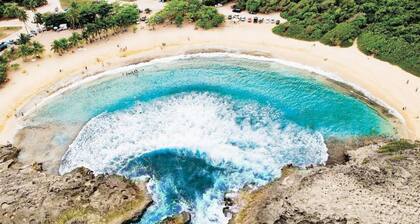 4 BR Kikita Beach Villa Oceanfront w Pool