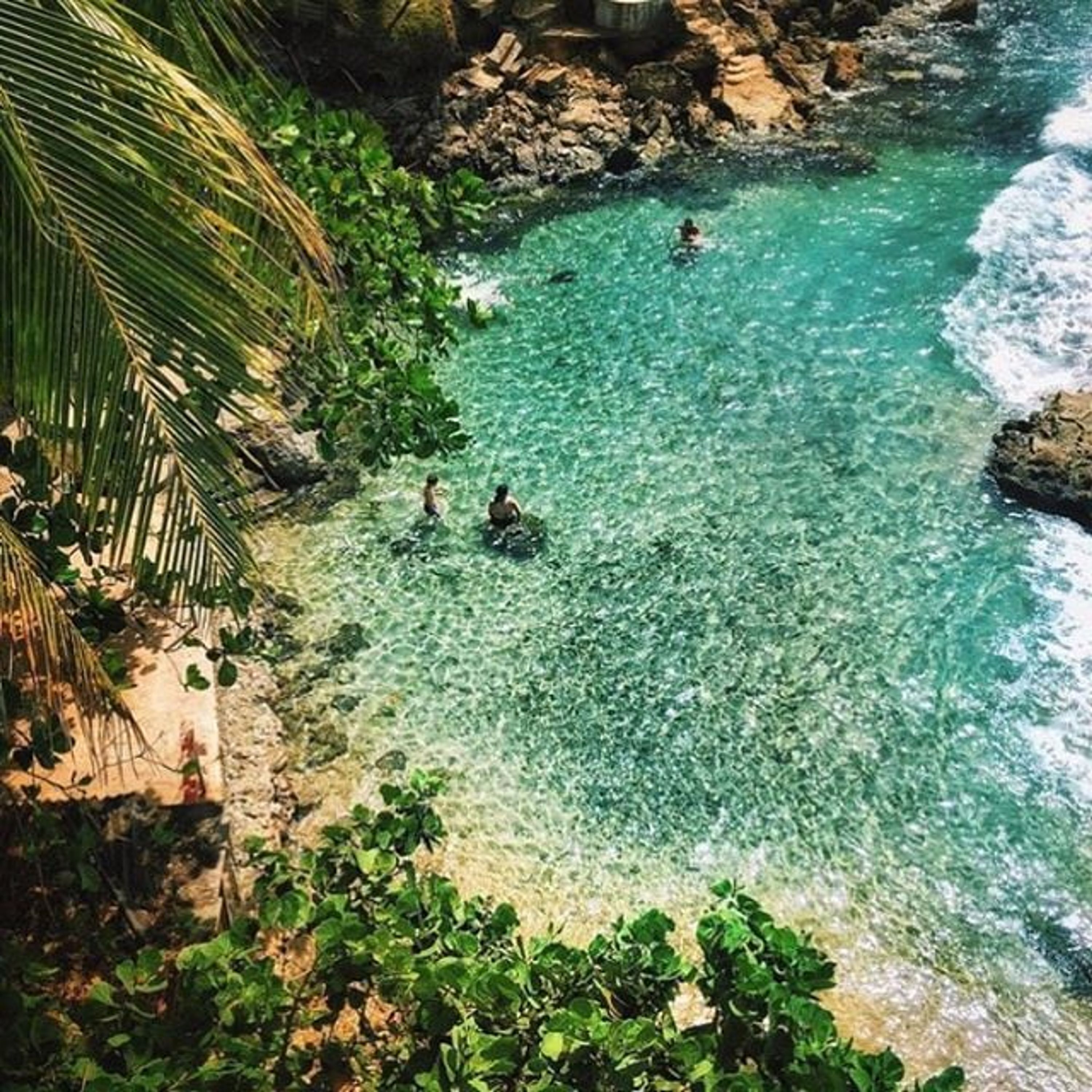 A coastal view with clear turquoise water, rocky shoreline, and lush greenery.