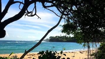 Apartment | 3 bedrooms