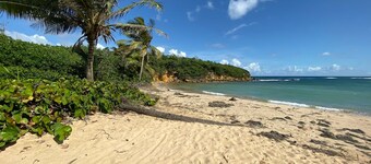 Gardenia- 3BR Dorado- Ocean Views 3 Pools