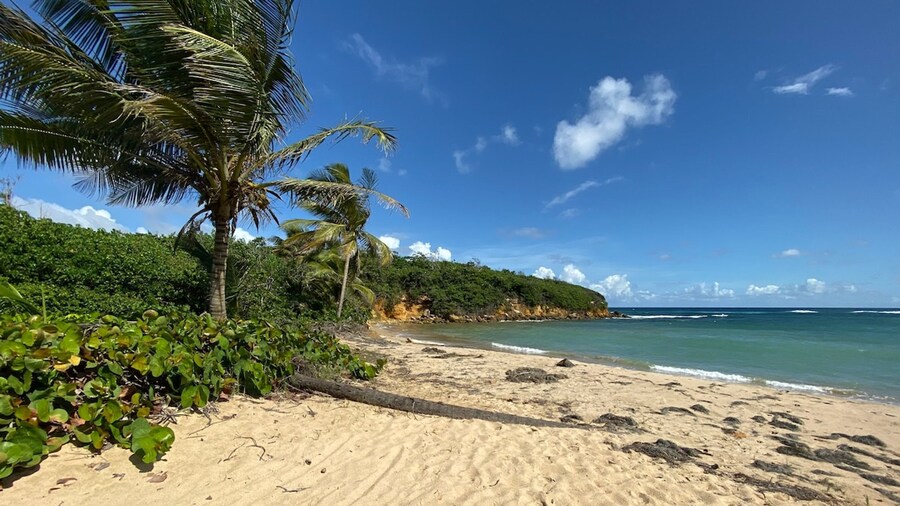 Gardenia- 3BR Dorado- Ocean Views 3 Pools