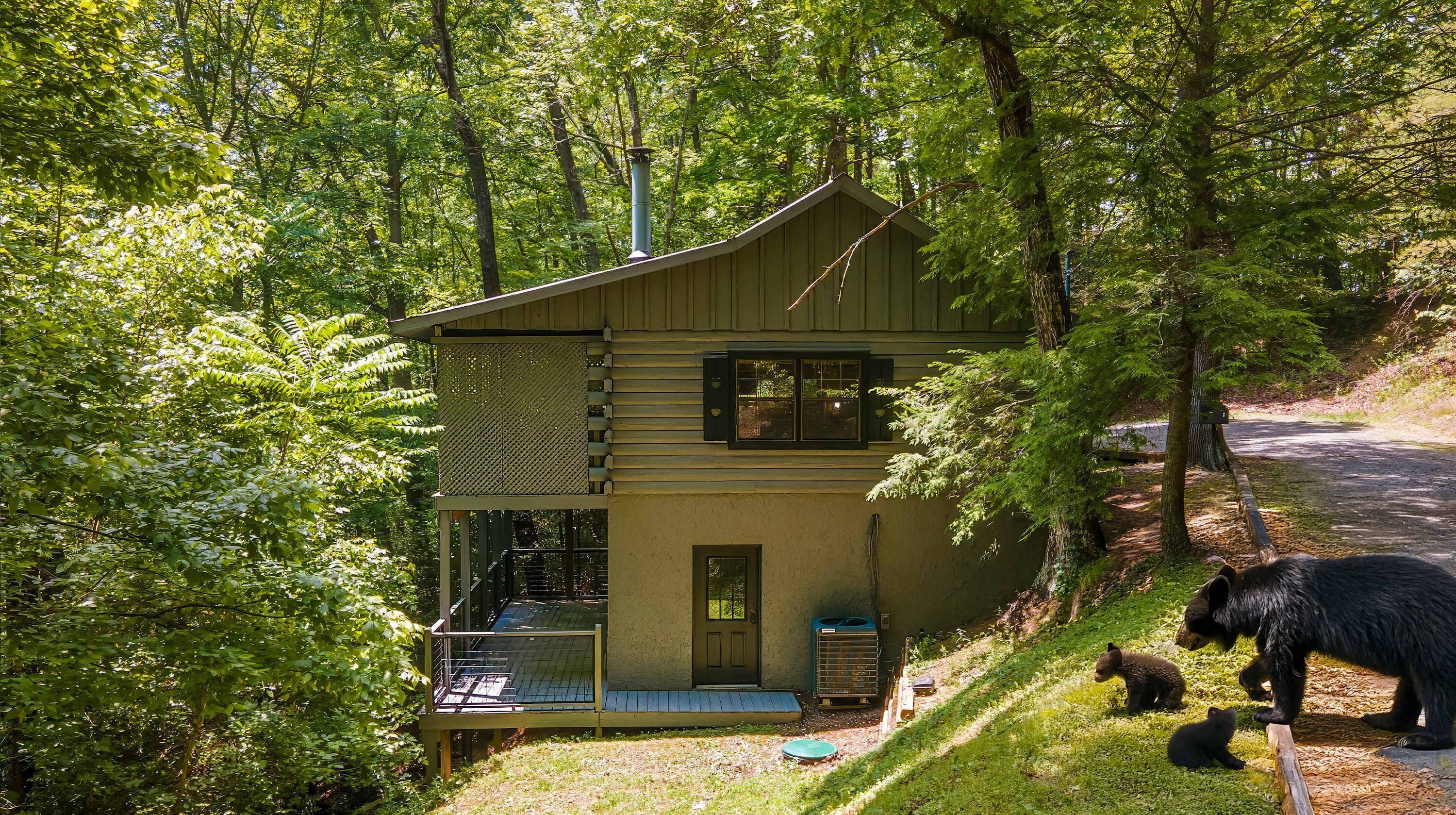 A cabin surrounded by trees, with a porch and a small deck.