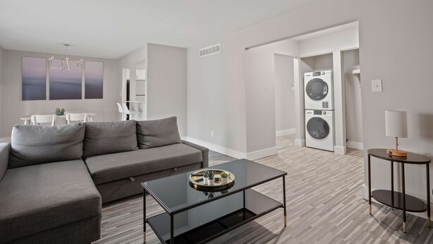 Un salon moderne avec un canapé gris, une table basse en verre et un lave-linge visible au fond.