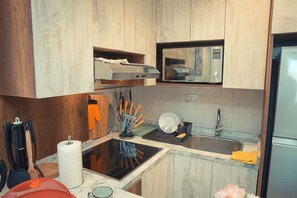 Apartment | 1 bedroom, Internet