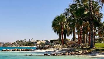 Apartment, Accessible | 1 bedroom, Internet