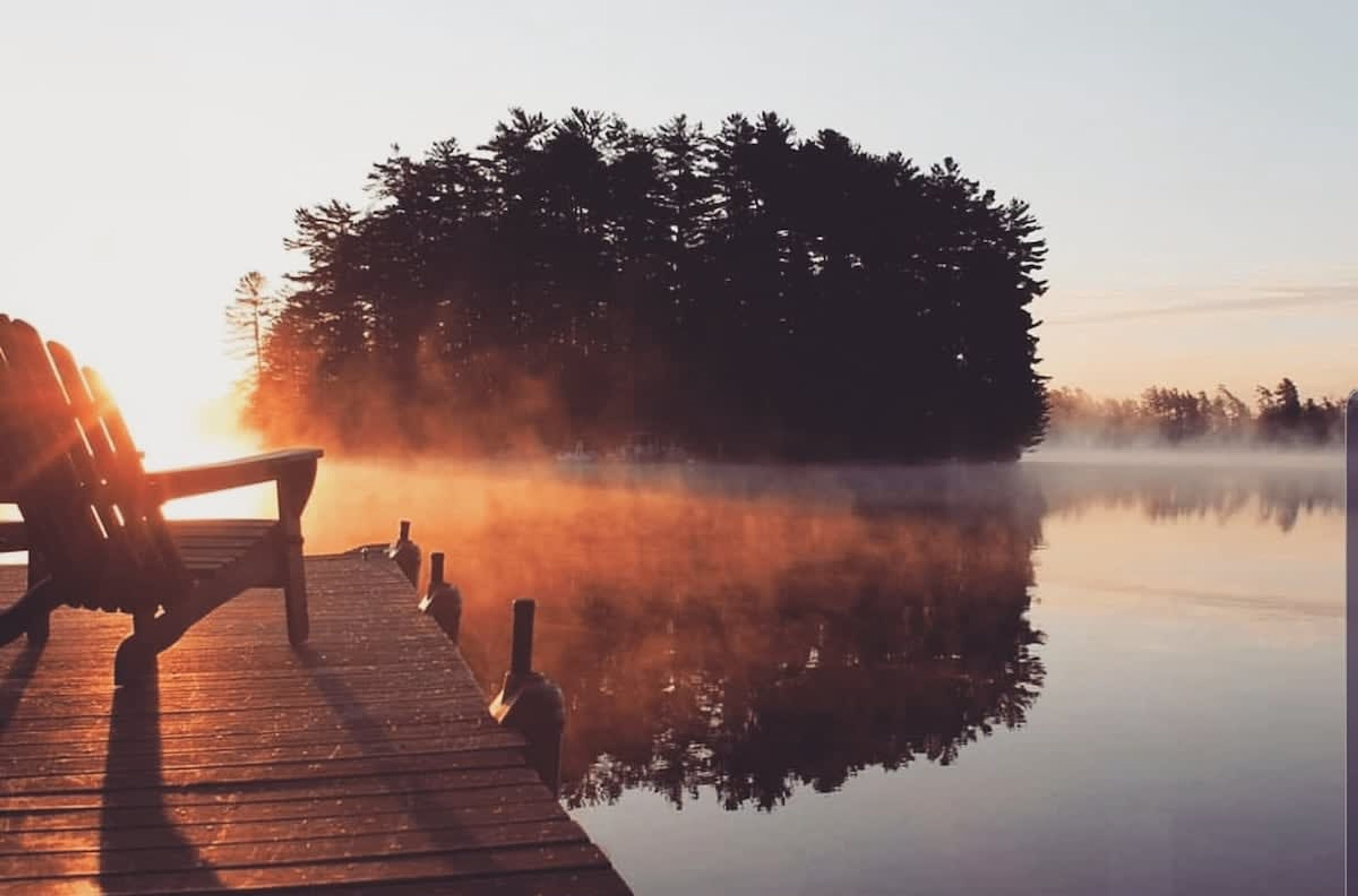 Een houten steiger die uitsteekt in een rustig meer, met een bank en flessen, omringd door bomen en mist.