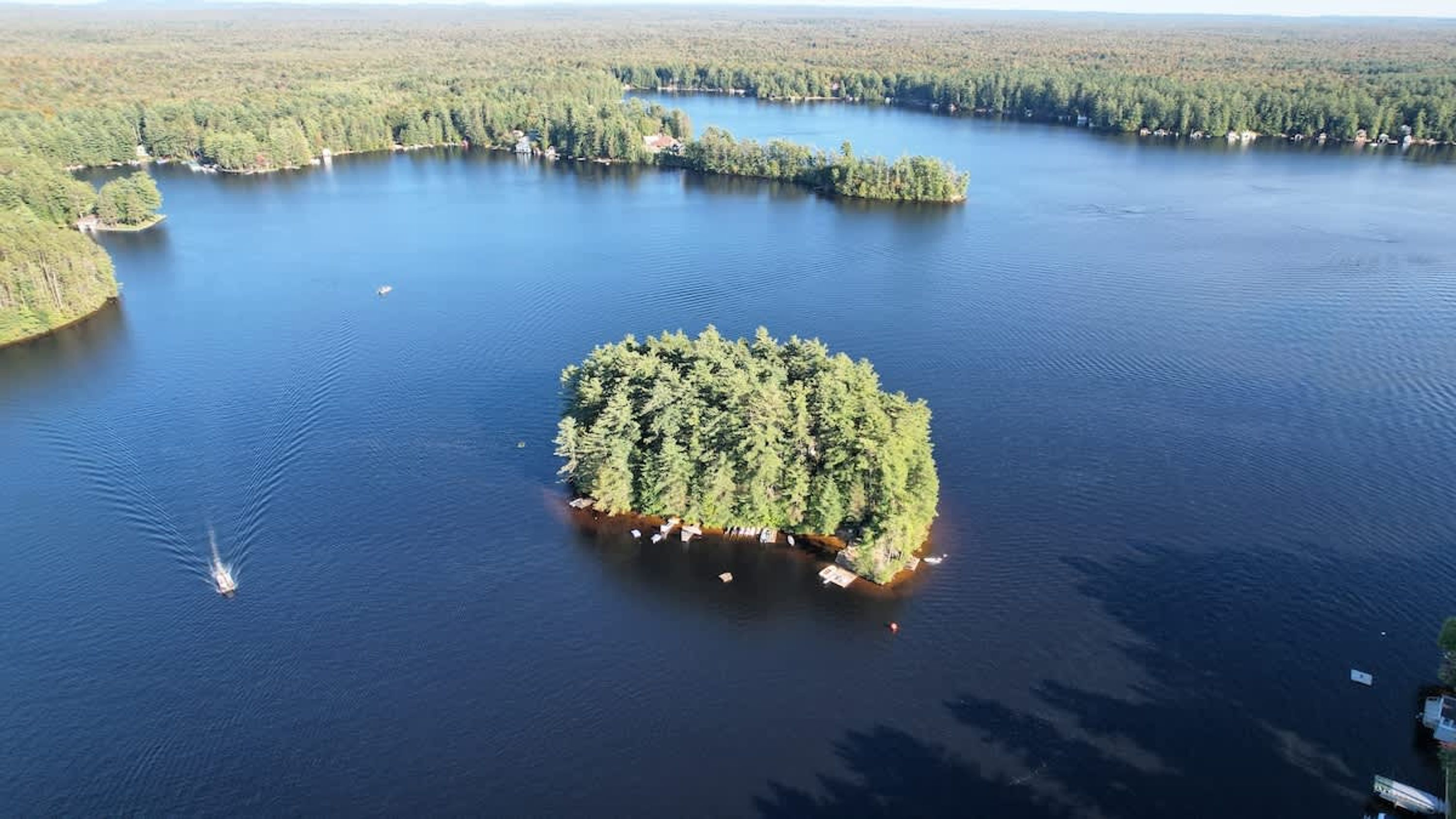 An aerial view of a lake surrounded by dense forest.