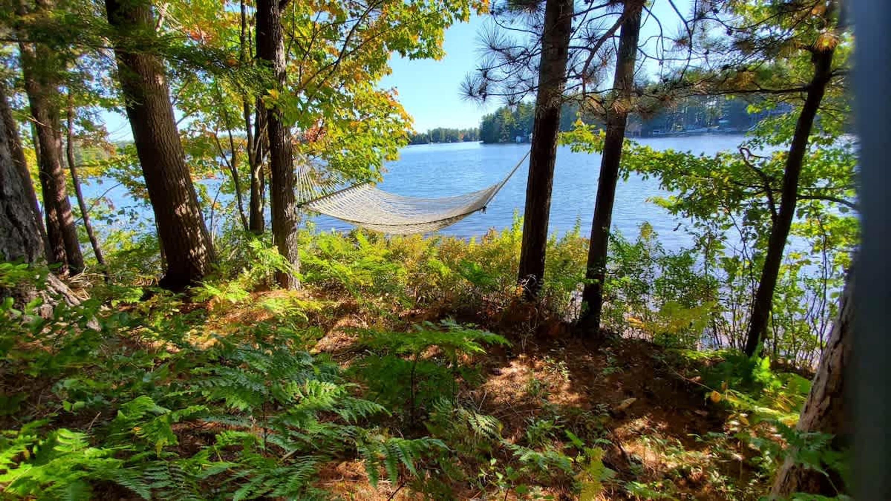 Una hamaca en un área boscosa, con un lago al fondo.