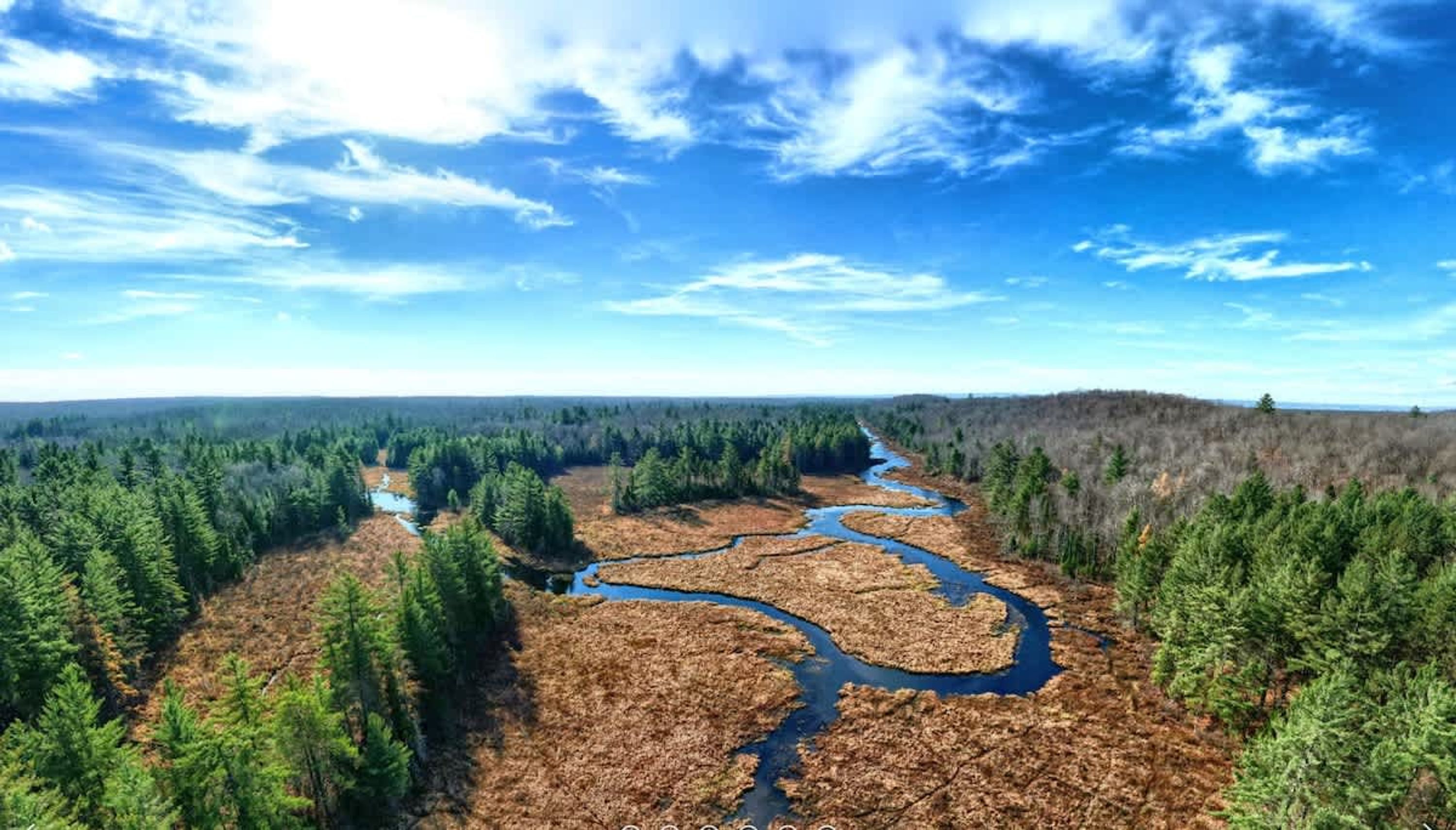 Een rivier kronkelt door een bebost landschap onder een heldere lucht.