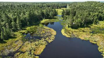 A river meandering through a dense forest with a small bridge crossing.