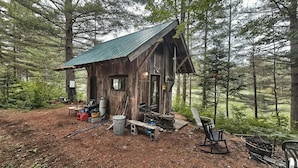 Una cabaña rústica con techo de metal, rodeada de un bosque denso.