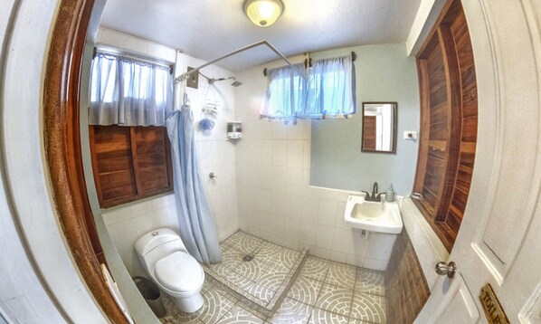 A bathroom with a toilet, shower, sink, and a mirror.