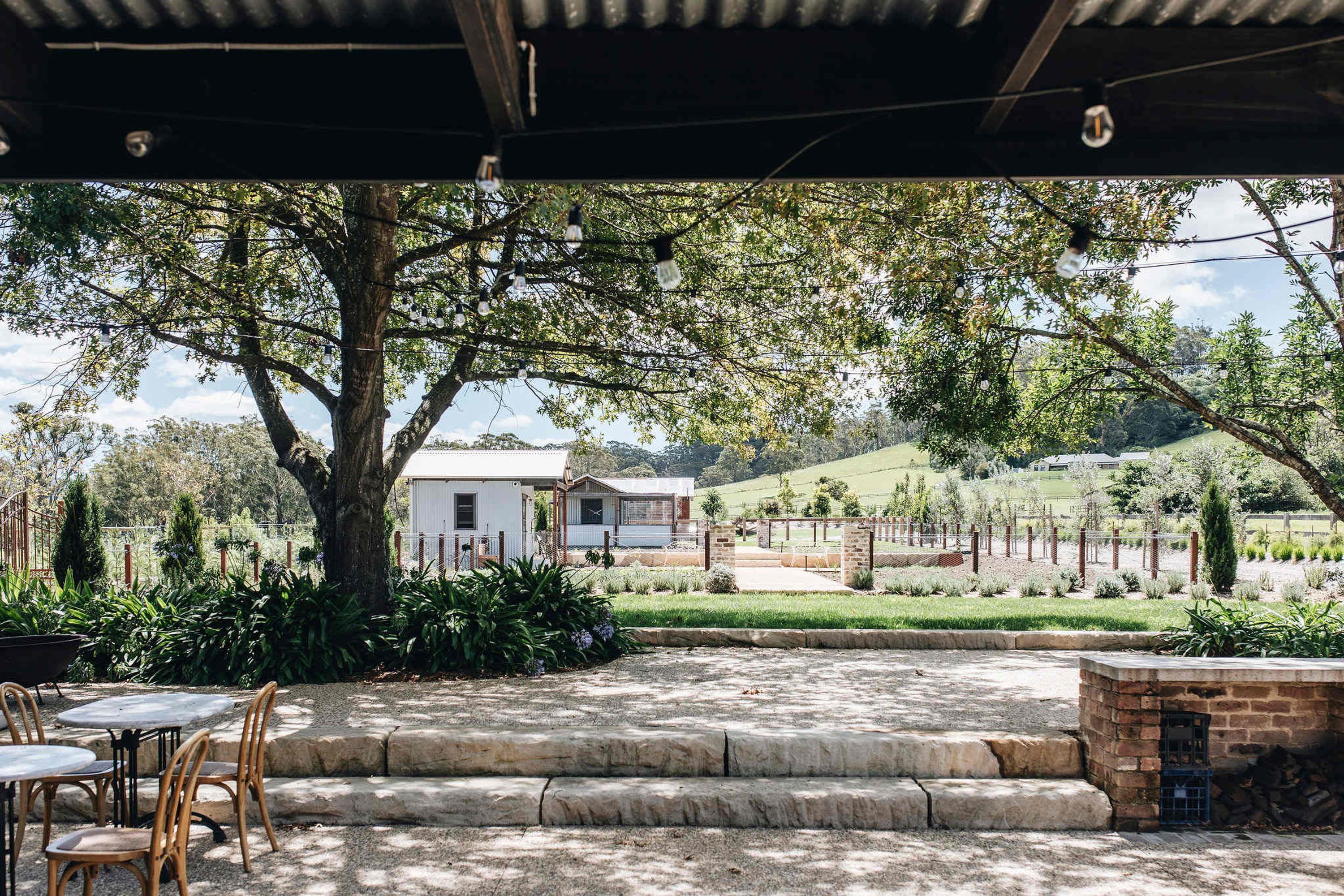 An outdoor patio area with stone steps, wooden chairs, and tables. A large tree provides shade, and a building is visible in the background.