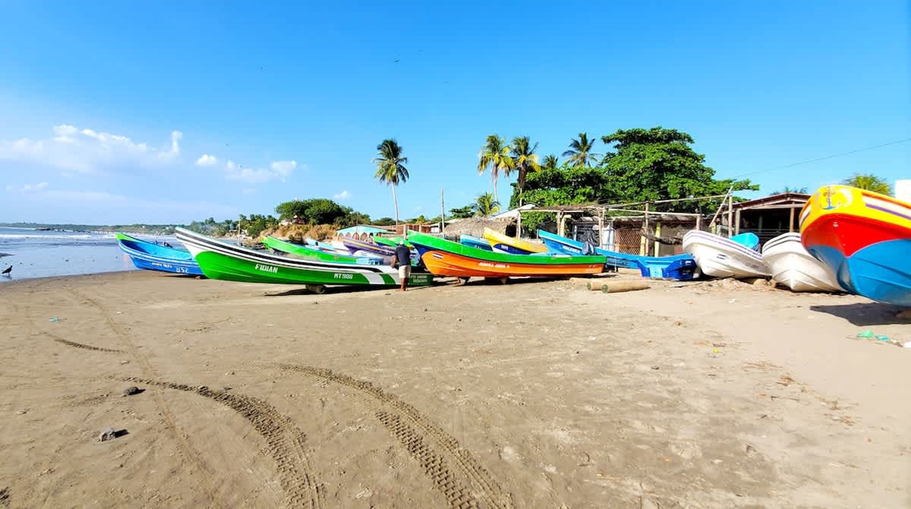 Una playa con varias embarcaciones coloridas estacionadas en la arena, un cielo despejado y palmeras al fondo.