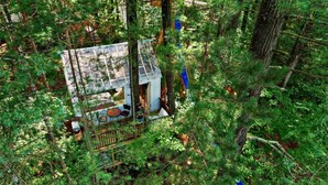 Une petite cabane entourée d’une forêt dense.