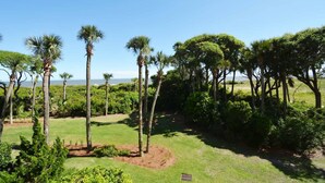 Un jardin aménagé avec des palmiers et une pelouse, qui fait probablement partie d’un hôtel ou d’un complexe touristique.