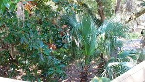 A lush garden with various tropical plants and trees, including a prominent palm tree. - Best Value in Seabrook - Heron Run (Seabrook Island)