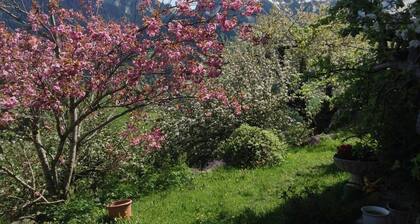 5 BR Gstaad Paradise View Chalet With Outdoor Jacuzzi
