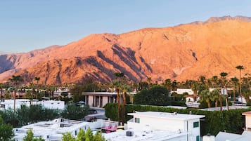 Estudio | 1 habitación