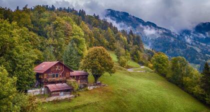 Heidi Chalet Alps - Unique Experience - Authentic Part