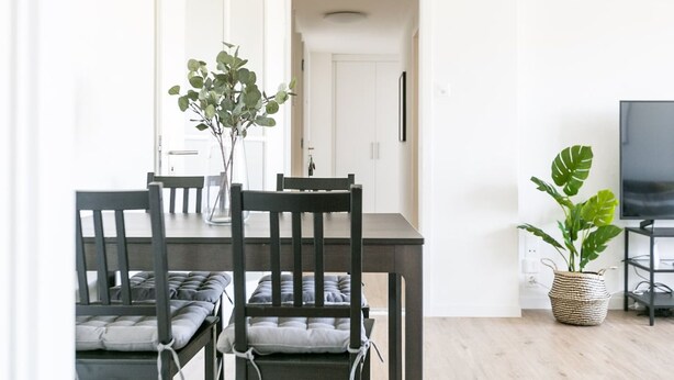 A dining area with a dark wooden table and chairs, a potted plant, and a television on a stand. - Lucern 2-br Flat w Netflix Top Location (Lucerne)